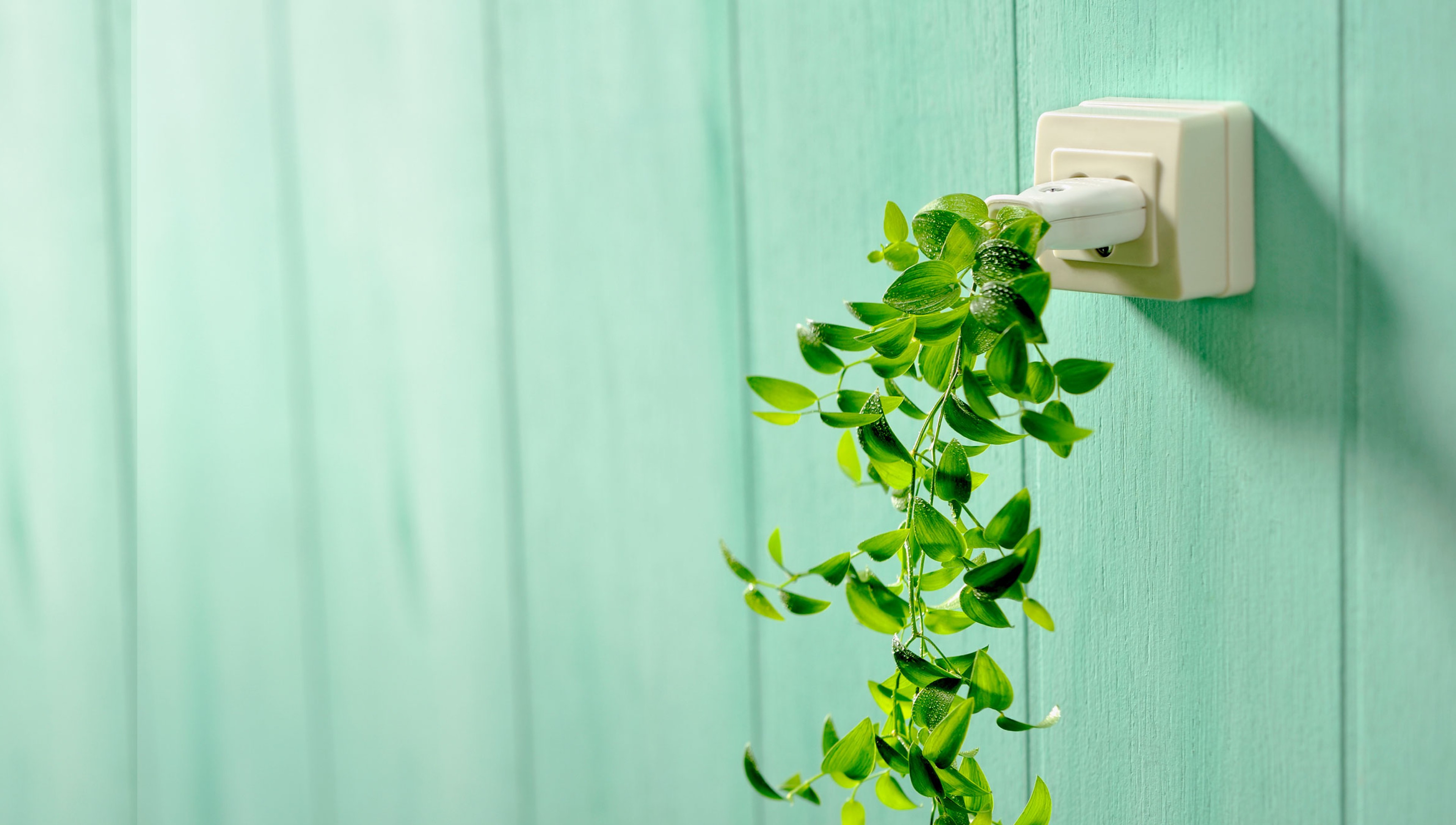Innovation and Disruption Ripple Through Retail Energy Markets