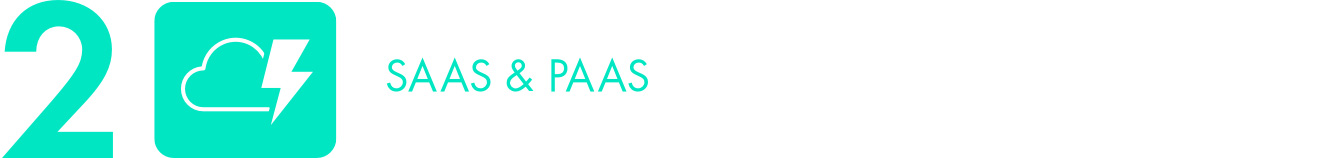 SaaS and PaaS