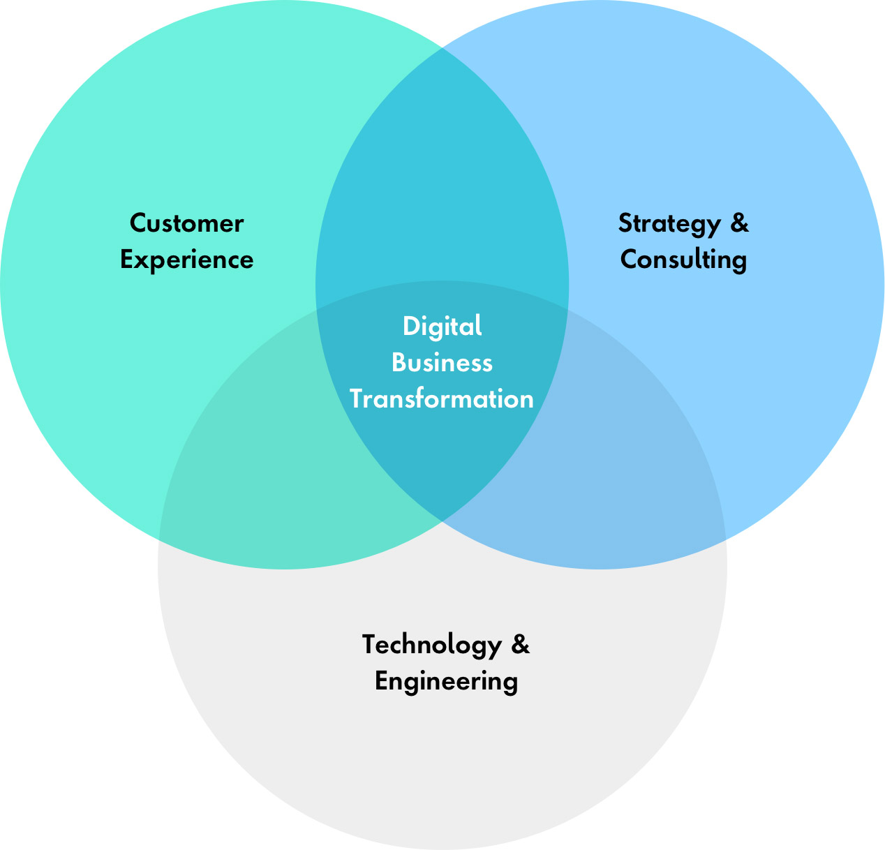 Customer Experience, Strategy & Consulting and Technology & Engineering overlap with Digital Business Transformation at the center.